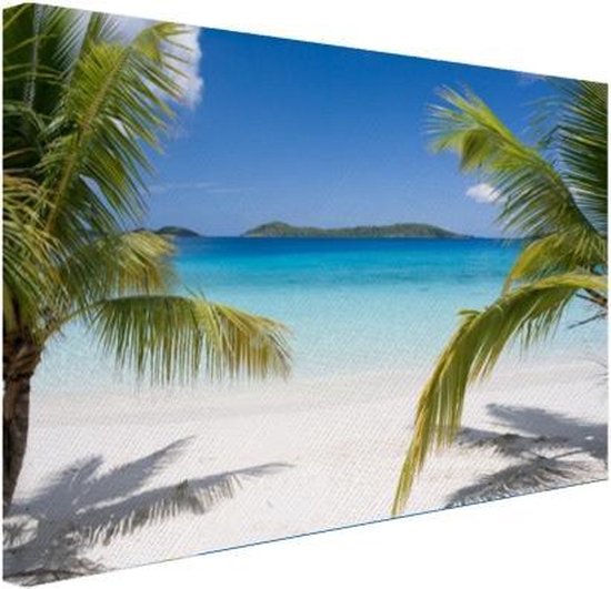 rukken Nauwkeurig Sortie Canvas Schilderij Tropische palmen op het strand - 120x80 cm -  Wanddecoratie | bol.com