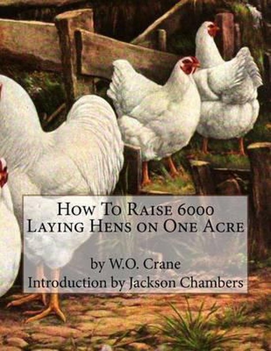 How To Raise 6000 Laying Hens on One Acre - cover