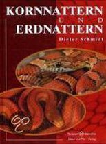 Kornnattern und Erdnattern