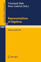 Representations of Algebras