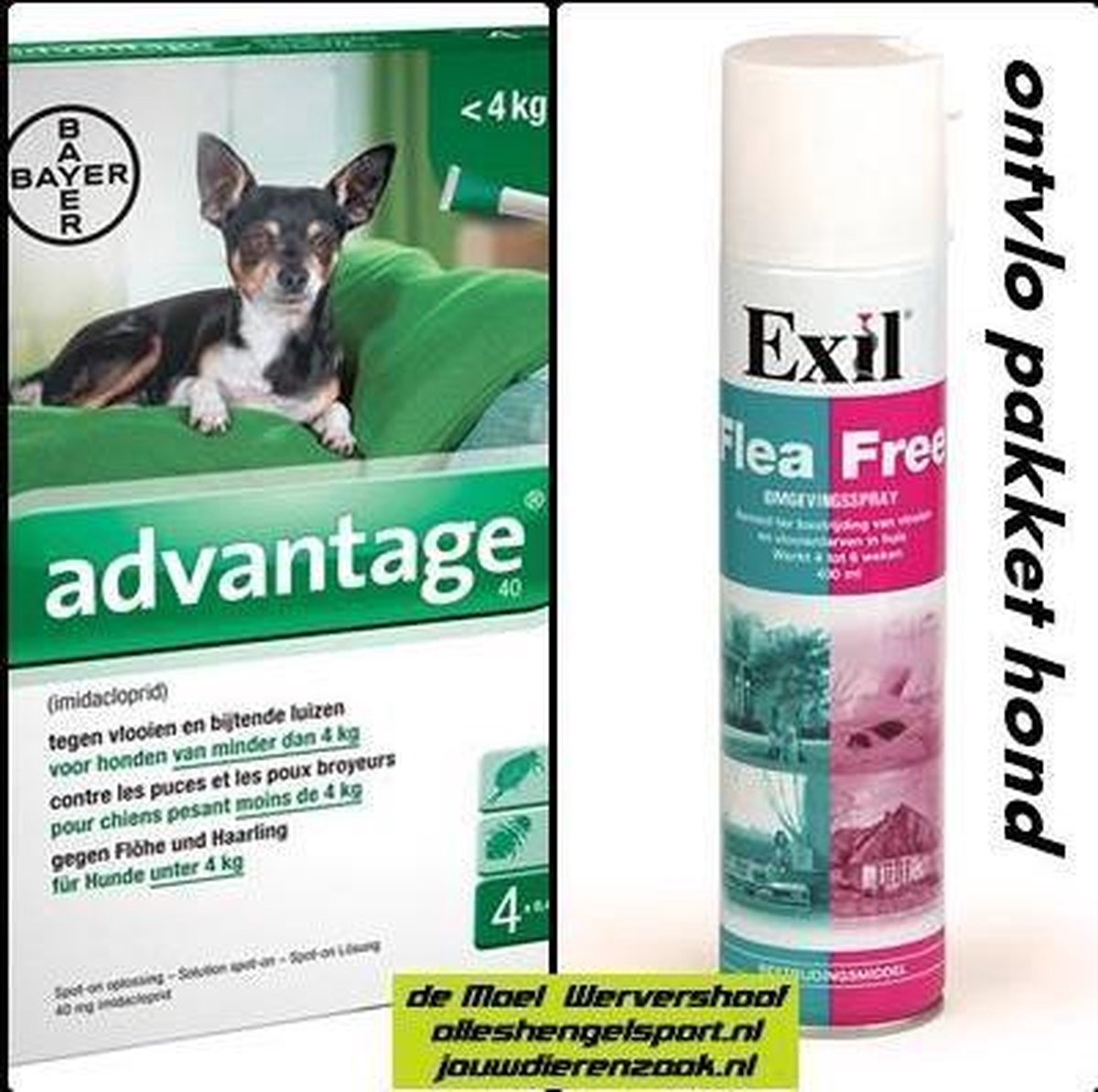 Afwijzen afbetalen toon anti vlooien pakket voor de hond tot 4 kg - Exil flea free omgevingsspray +  4 pipetten... | bol.com