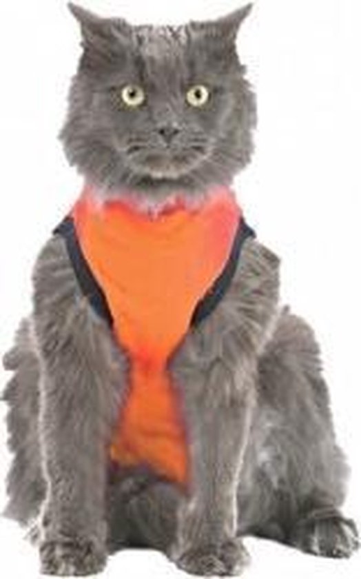 Medical Pet Shirt Kat Oranje - S