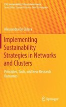 Implementing Sustainability Strategies in Networks and Clusters