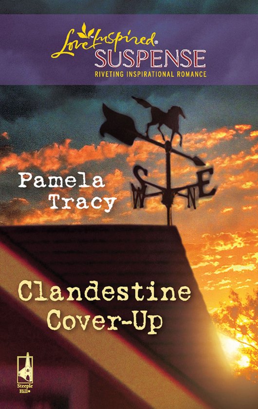 Clandestine Cover-Up (Mills & Boon Love Inspired Suspense) - cover