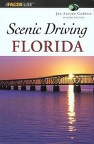 Scenic Driving Florida