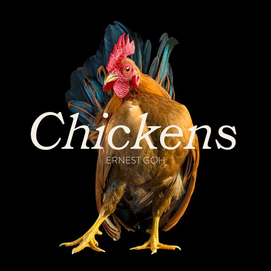 Chickens - cover