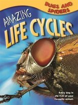 Amazing Life Cycles