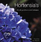 Hortensia S