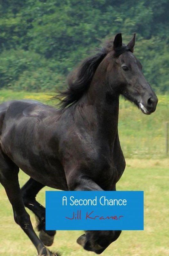 Zwart paard dat in een veld rent. Titel: "A Second Chance" door Jill Kramer.