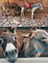 Donkey Sketch Book