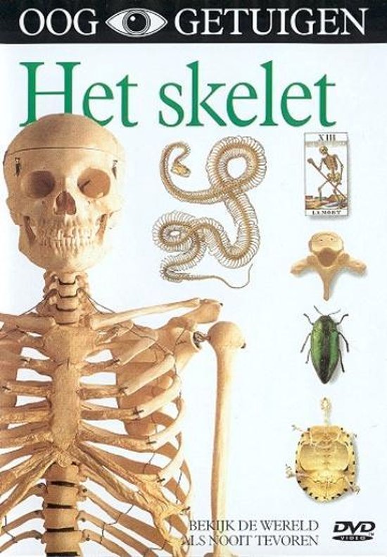 Cover van de film 'Ooggetuigen - Het Skelet'