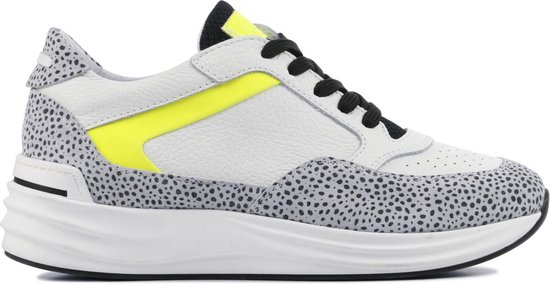 Zebra sneakers voor dames in de maat 42 | KLEDING.nl