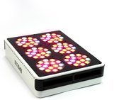 LED Kweeklamp Apollo 6