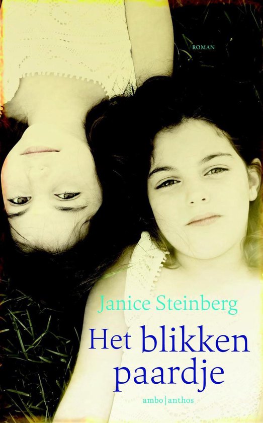 Het blikken paardje - cover
