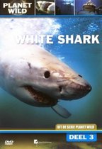 Special Interest - White Shark