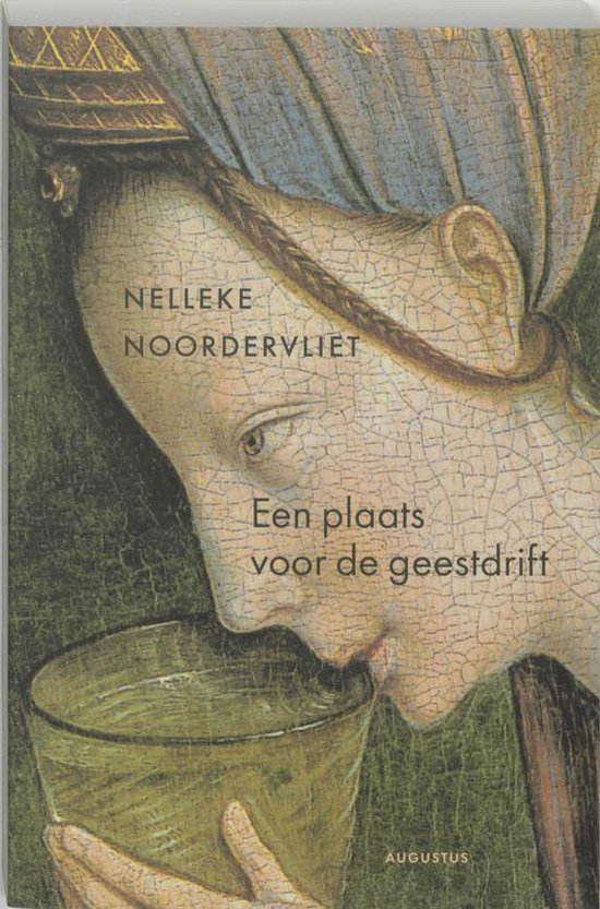 Cover van het boek 'Een plaats voor de geestdrift' van Nelleke Noordervliet