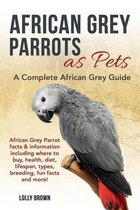 African Grey Parrots as Pets