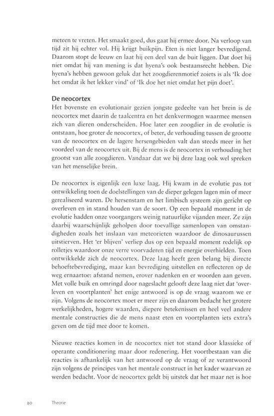 Het gelaagde brein