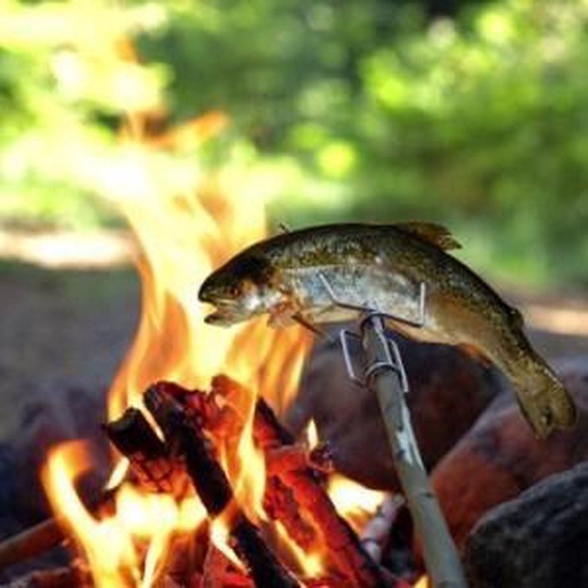 allume-feu Bio pour feu cheminée ou barbecue Briquet USB