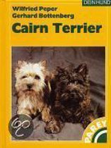 Der Cairn Terrier