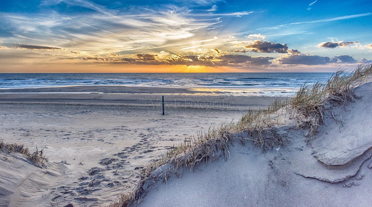 Foto op Canvas, Duinpad naar de zon (120x70cm)