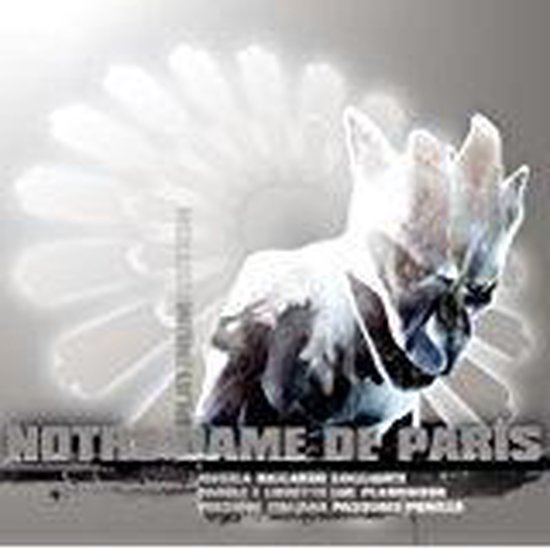 Notre Dame De Paris (Italian V