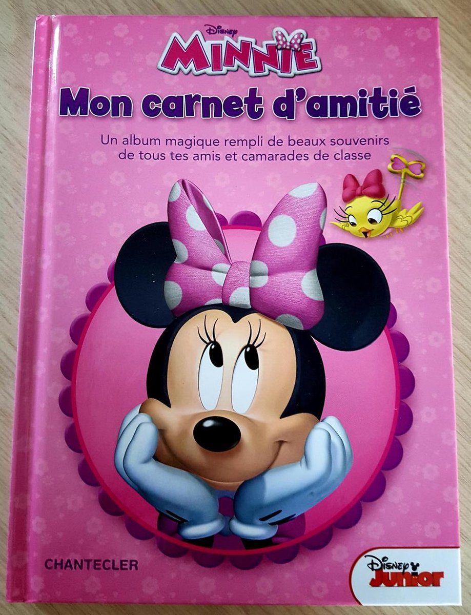 Disney Mon carnet d'amitié Minnie