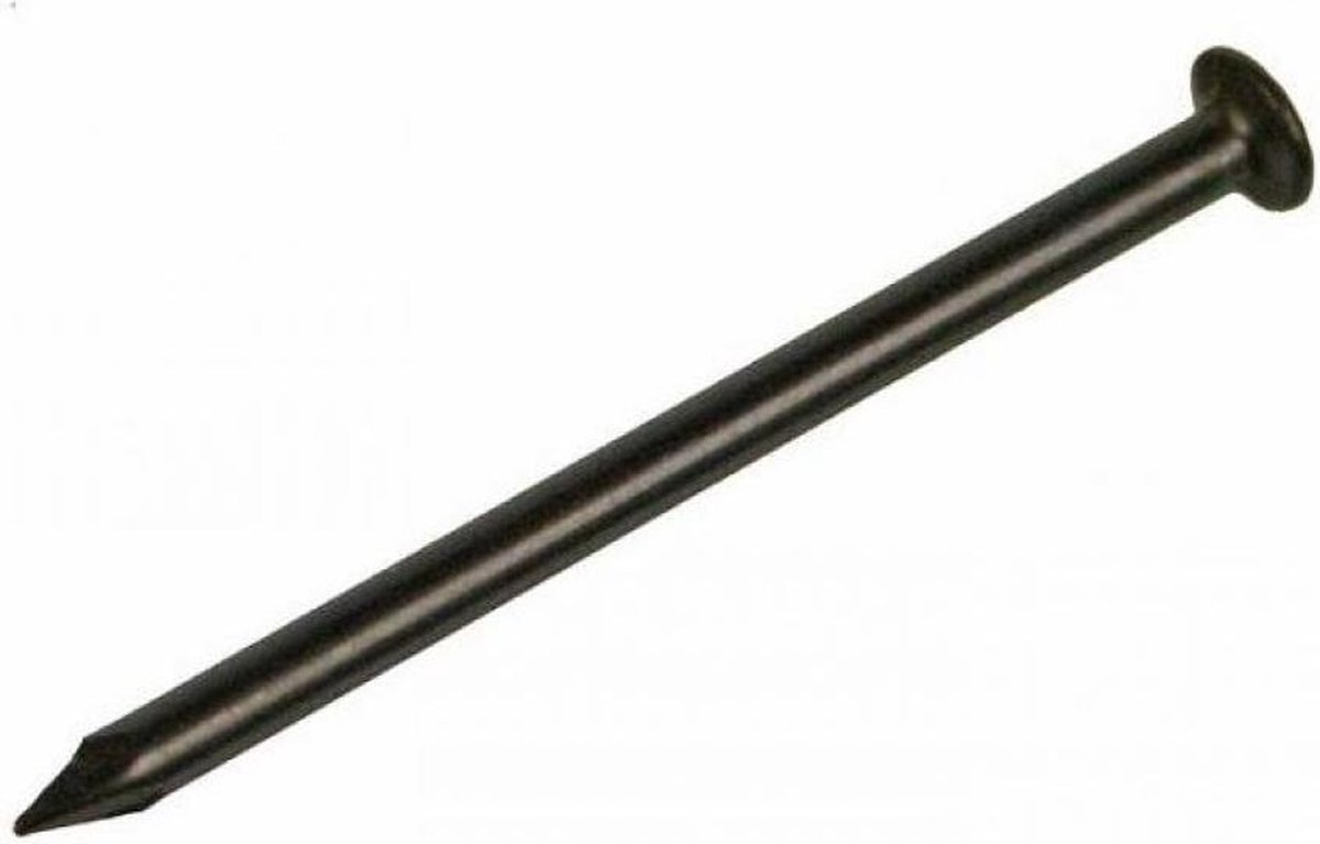STALEN NAGELS 2.0 20 MM ZWART 40 GR.