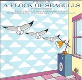 Best of A Flock of Seagulls [Jive]