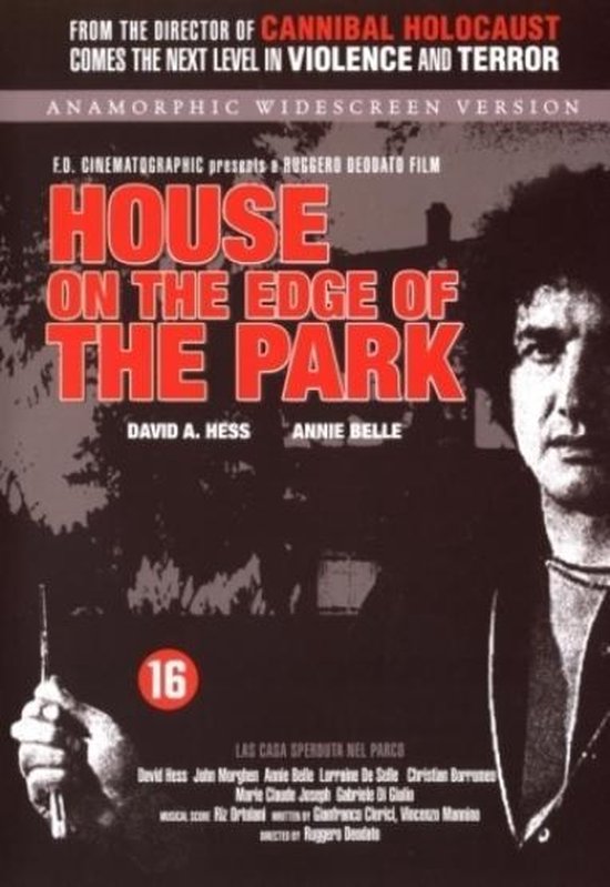 Cover van de film 'House On The Edge Of The Park'