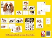 Cavalier King Charles Spaniel cadeauset
