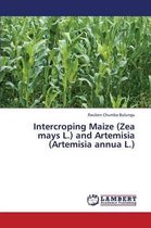 Intercroping Maize (Zea Mays L.) and Artemisia (Artemisia Annua L.)