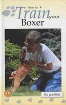 How to Train Your Boxer