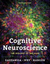 Cognitive Neuroscience Summary (Specialization/IBP)