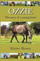 Ozzie - The Story of a Young Horse