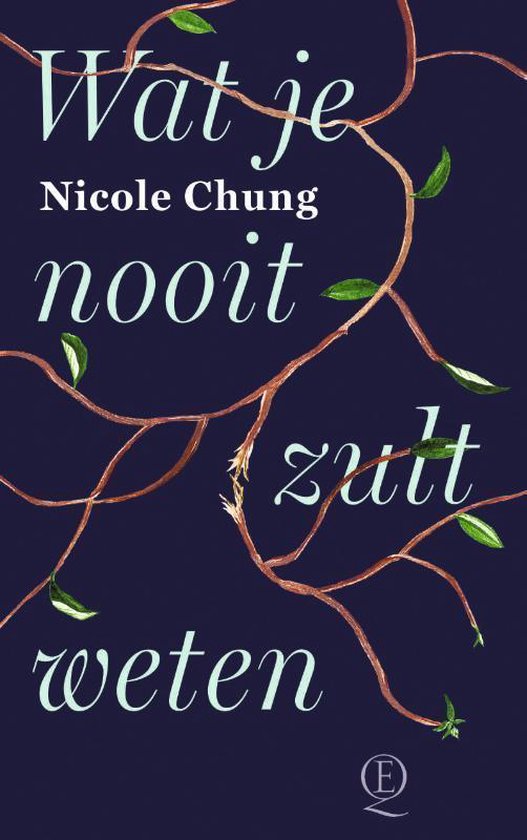 Wat je nooit zult weten - Nicole Chung | Northernlights300.org
