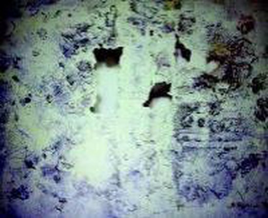 9780847839308 - Painting The Void