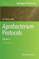 Agrobacterium Protocols