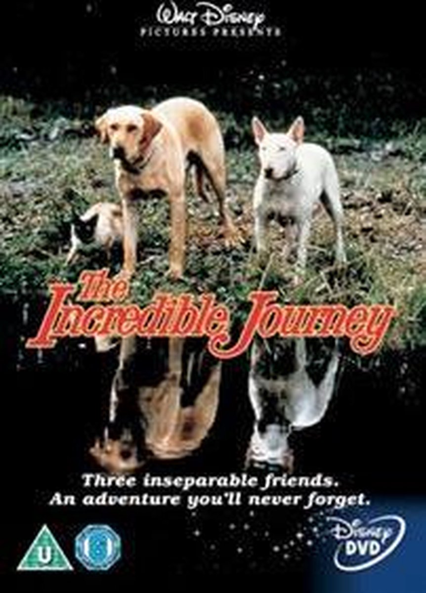 Incredible Journey