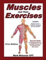 Muscles And Their Exercises