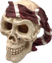 SF Skull Red Pirate