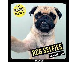 Dog Selfies