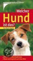 Welcher Hund ist das?