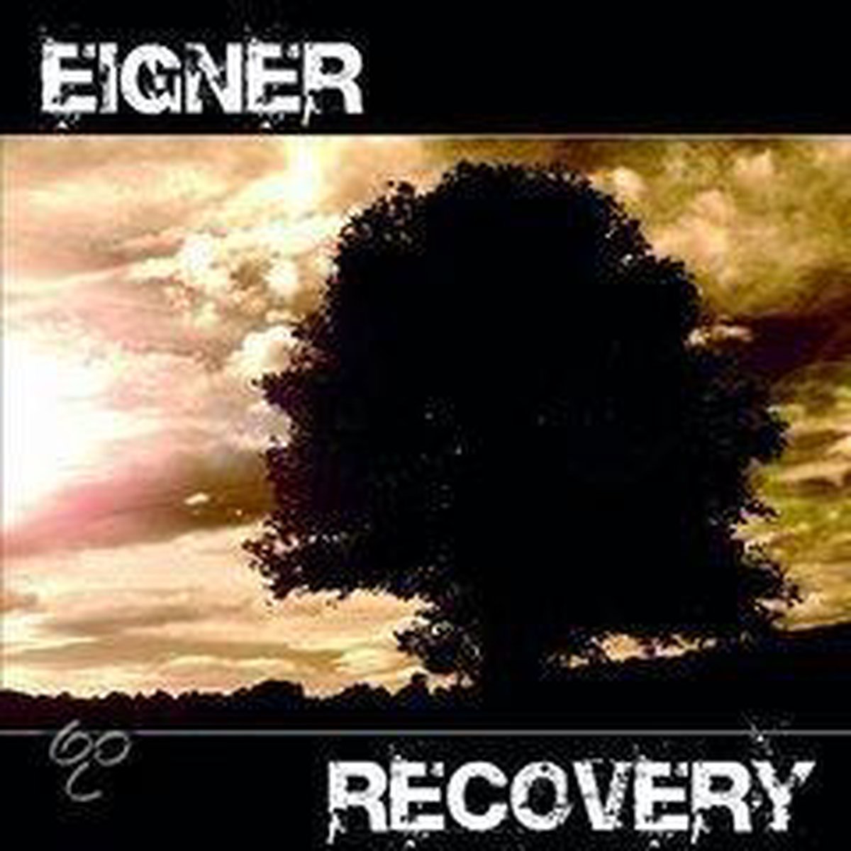 Afbeelding van product Recovery  - Eigner
