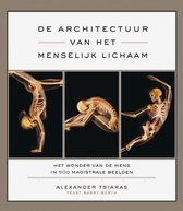 De architectuur van het menselijk lichaam