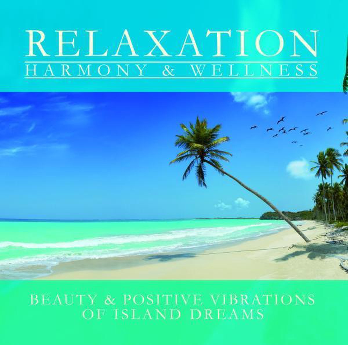 Island Dreams