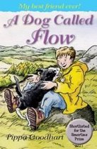 A Dog Called Flow