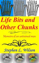 Life Bits and Other Chunks: Memoirs of an Untrained Man