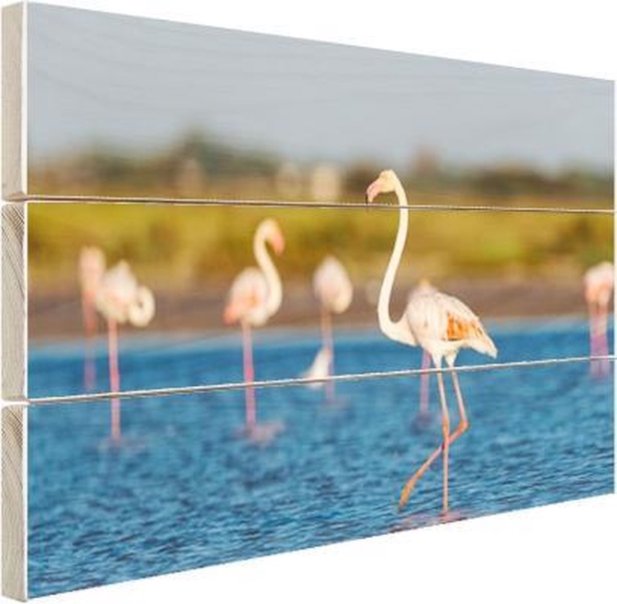 bol.com | Flamingo op hout - 80x60 - Groep Europese ...