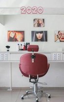 Hair Stylist Appointments Diary